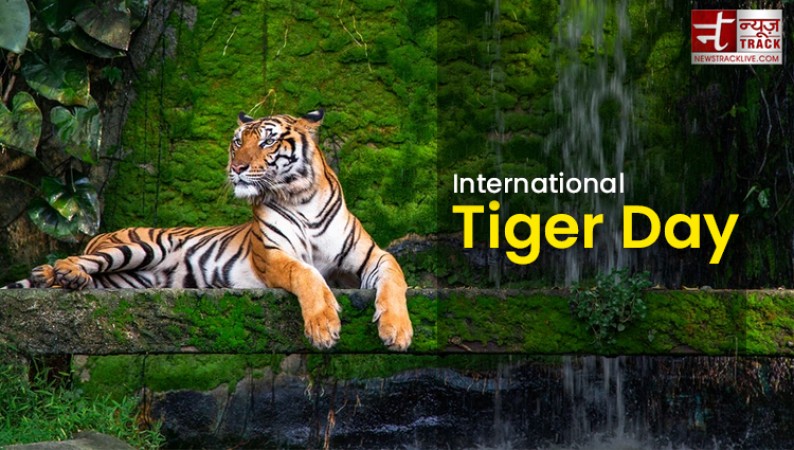 अंतरराष्ट्रीय बाघ दिवस आज, जानिए इसका इतिहास
