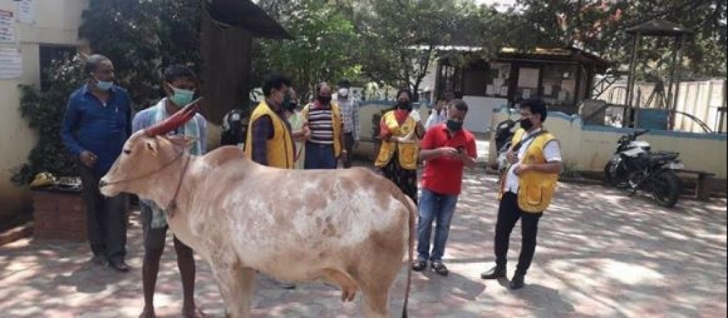 Banglore: Police rescue cow from sixth floor of building