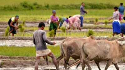 Uttar Pradesh: 5 women electrocuted in UP paddy field