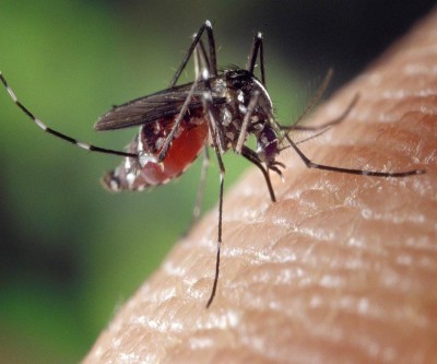 Kanpur on high alert, 3 new Zika virus cases found