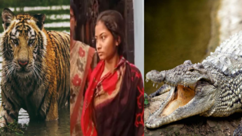 A girl came to India from Bangladesh by swimming among alligators to marry her boyfriend