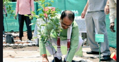 विश्व पर्यावरण दिवस पर अंकुर कार्यक्रम का शुभारंभ करेंगे CM शिवराज सिंह चौहान