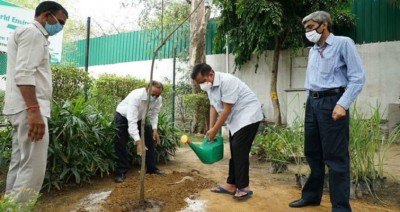 CM Kejriwal plant tree on World Environment Day