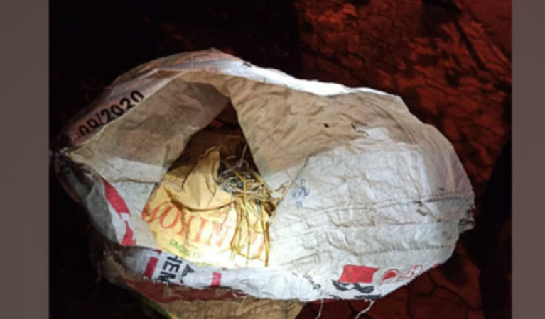 Kolkata: Kolkata Police recovers bag of 51 crude bombs near BJP office