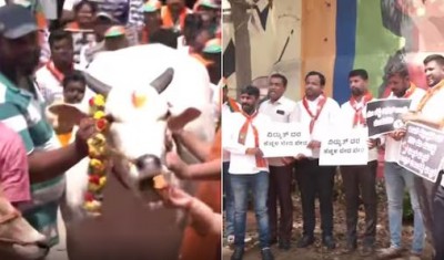 'Why can't cows be slaughtered..', statement of minister Venkatesh in the Siddaramaiah government