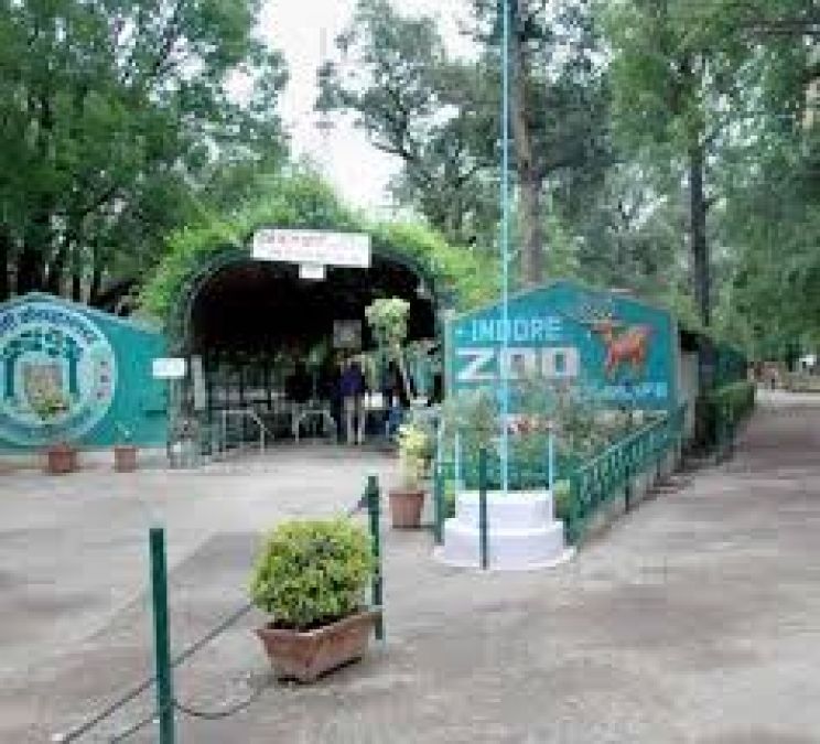 Zoo wildlife improves due to lockdown environment