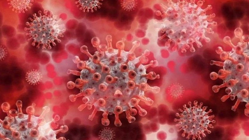 New coronavirus variant detected in India by NIV Pune