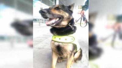 Now to rein in prisoner, Prison administration to take help of sniffer dogs