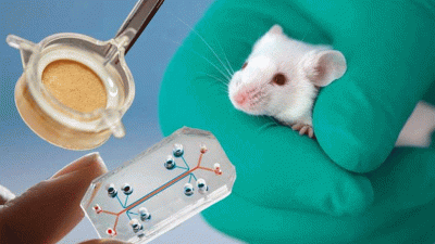 जानवरों पर सफल हुआ कोरोना वैक्सीन का ट्रायल, कुछ ही दिनों में आ सकती है वैक्सीन