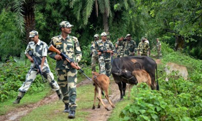 Terrorists increasingly in Kashmir, action of security forces shows wide impact