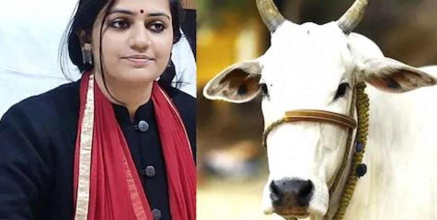 OMG! DM's cow falls ill, 7 doctors put in for care