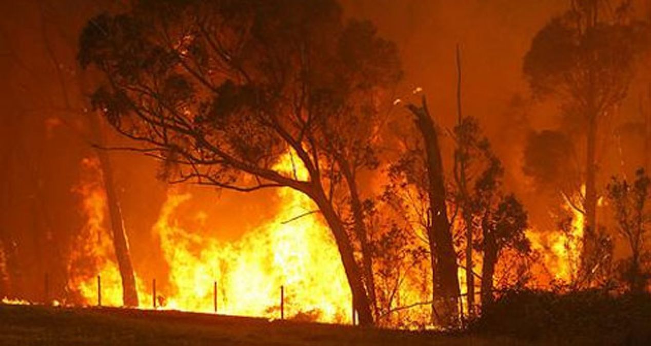 Huge fire breaks out In Ludhiana, millions of goods burned
