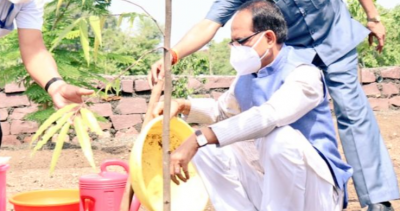 आज CM शिवराज सिंह चौहान ने लगाया अशोक का पौधा