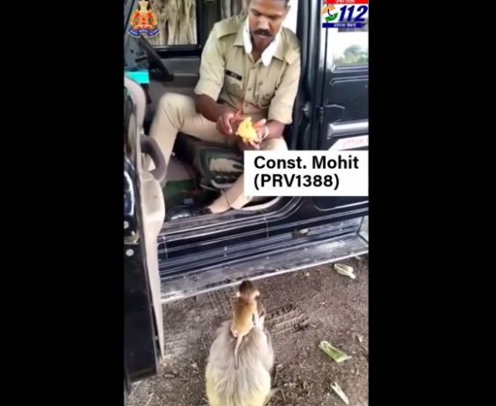 UP police constable feeds mangoes to monkeys in sweltering heat, people say - 