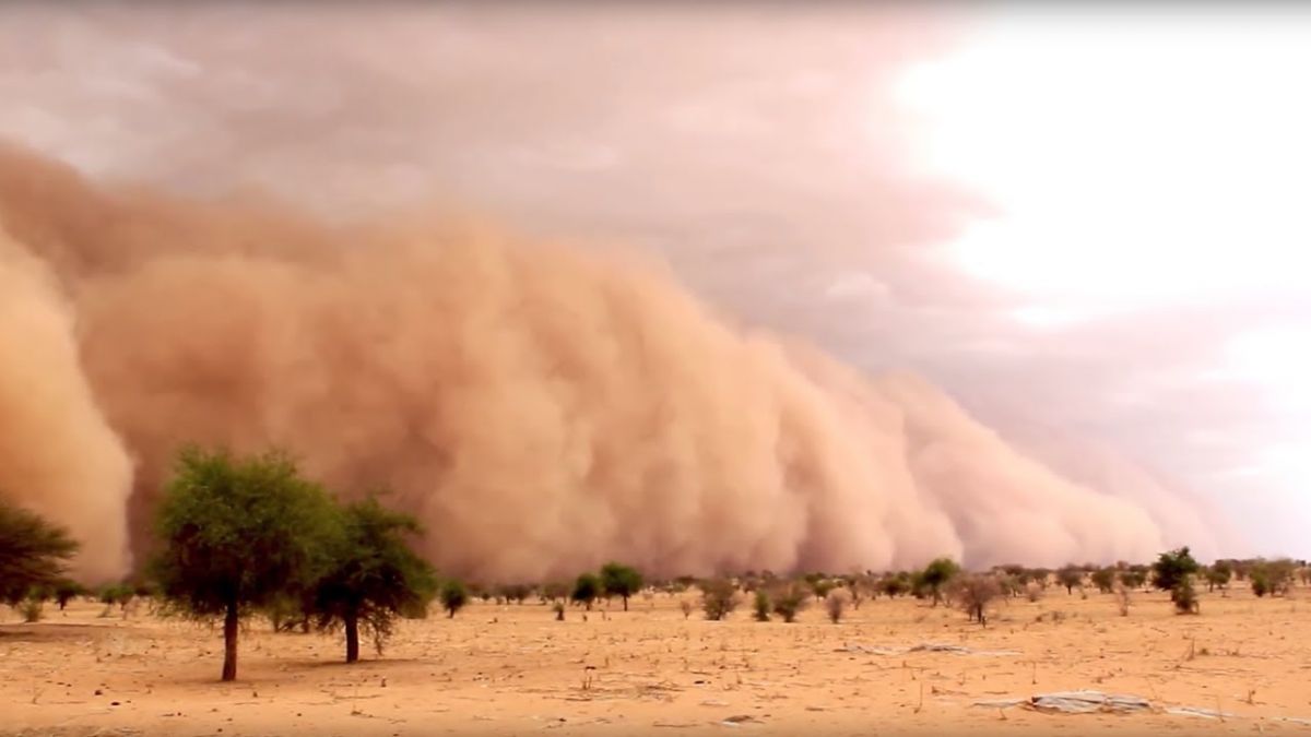 Strong dust storms to continue for next two days in the state