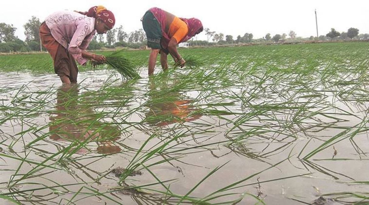 Farmers troubled by the delayed monsoon, not getting Kharif crops seeding