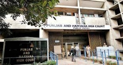 High court gives verdict regarding marriage at young age