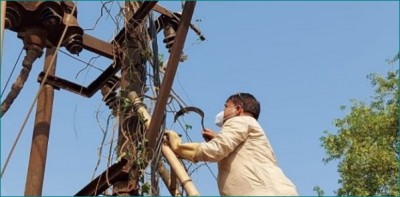 MP: Power Minister Pradhuman Singh Tomar removes bushes by climbing transformer