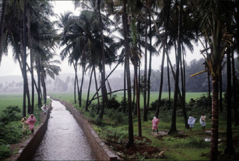 Monsoon hit Goa coasts, people get relief from the heat