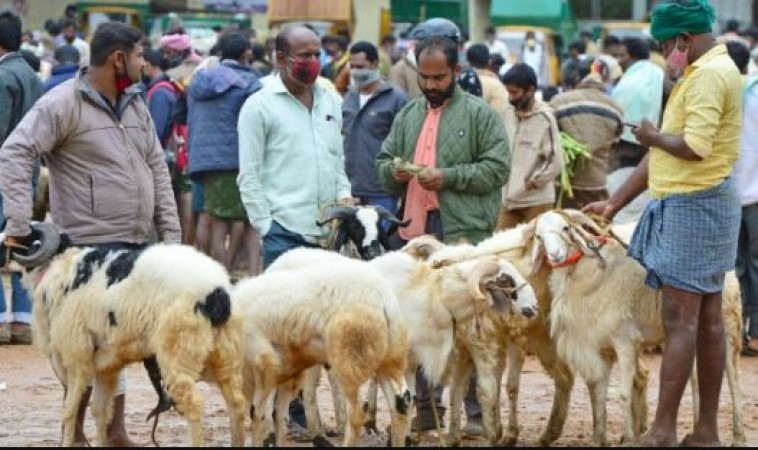 ईद-उल-अजहा के लिए जारी हुई एडवाइजरी, इन चीजों पर लगी रोक