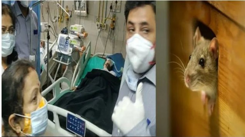 मुंबई के अस्पताल की लापरवाही, चूहों ने कुतर दी ICU में भर्ती मरीज की आँख