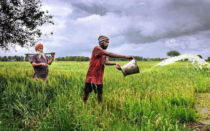 हरियाणा : लाखों किसानों के बनेंगे पशु किसान क्रेडिट कार्ड, जानें पूरी रिपोर्ट