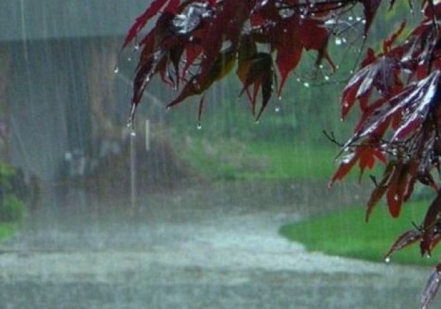 Heavy rains in these districts of Madhya Pradesh, warning issues