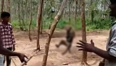 RIP humanity! Telangana villagers hang monkey to death, three held