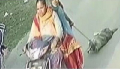 Cruelty on its peak! Two women tied dog behind Scooty and dragged him faraway, mum animal dies