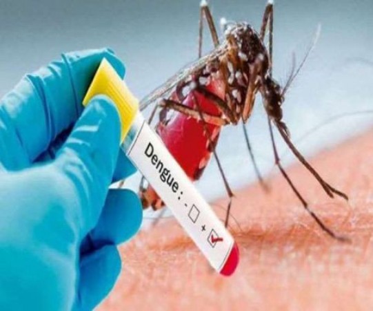 With corona, risk of dengue-malaria increased in capital of central region
