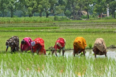 International Women's  Day: These are original working women of India, Know here