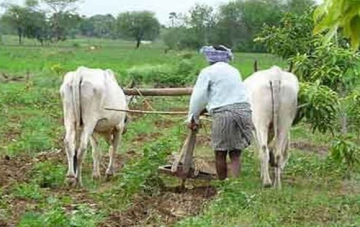 These farmers will not get benefit of Kisan Samman Nidhi Scheme