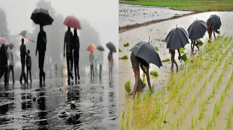 यूपी में बेमौसम बरसात और ओले गिरने से 6 की मौत, किसान बेहाल