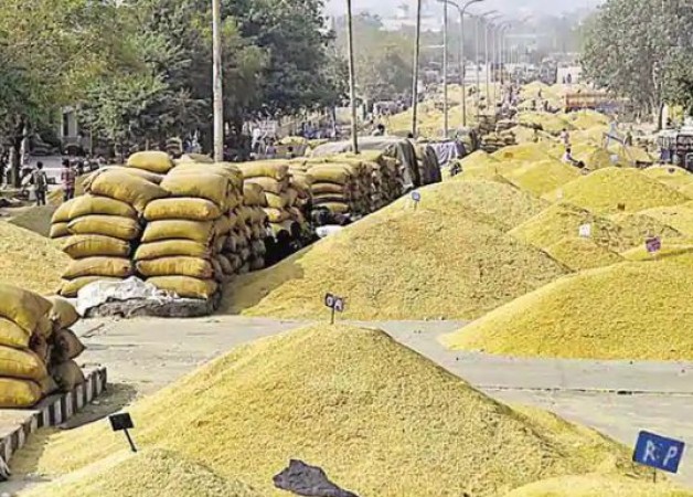 Market of Rajasthan glows due to this grain