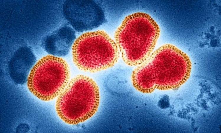 H3N2 वायरस ने बढ़ाया 'संकट', अलर्ट मोड पर सरकारें