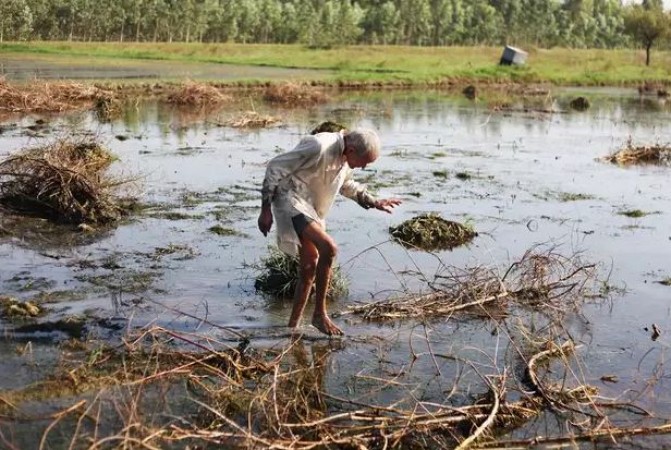 महाराष्ट्र: अतिवृष्टि से प्रभावित हुए किसानों को मिली राहत, शिंदे सरकार ने बांटा 73.5 करोड़ रुपये मुआवज़ा