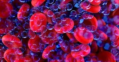 OMG! Shocking revelation, plastic found in human blood