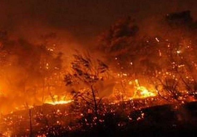 Fire in Bandhavgarh tiger reserve forest, department staff engaged in extinguishing the fire
