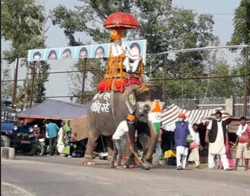 PM Modi rides elephant to crush Corona