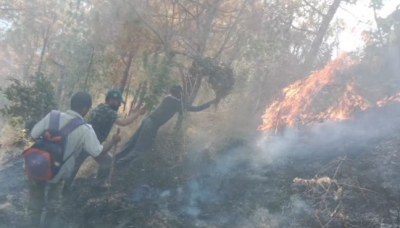Fire in forests of Uttrakhand, area up to several miles burnt