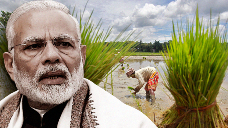 कृषि सम्बंधित समस्याओं पर पीएम मोदी की बड़ी बैठक, किसानों की आय बढ़ाने पर हुई चर्चा