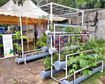 People started growing vegetables at home