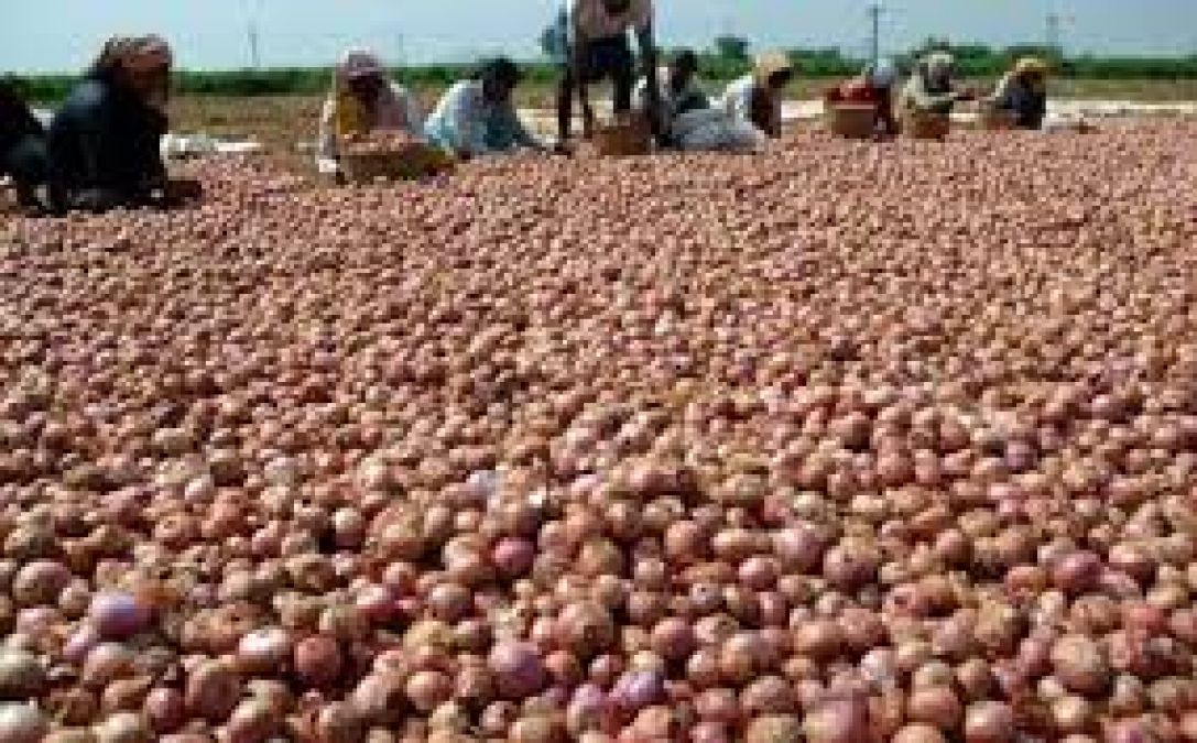 Madhya Pradesh: Farmers unable to sell Onions due to lockdown