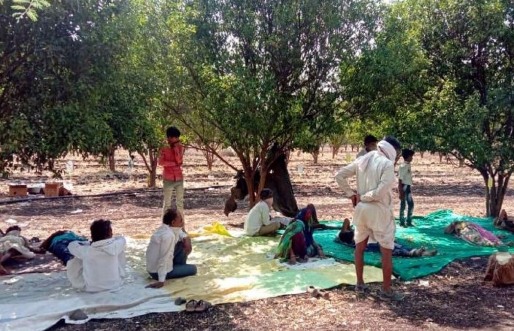 Scorching doctor endangers people lives, treating them like this in the farms