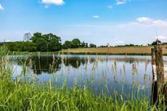 खेत में तालाब बनवाने के लिए सरकार दे रही है 1 लाख रूपये, जानिए कैसे?