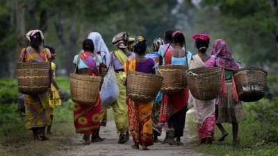 असम: चाय के बागानों में भी फैला मौत का वायरस, 300 से अधिक लोग संक्रमित