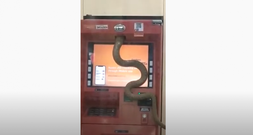 Video: ग़ाज़ियाबाद में ATM मशीन के अंदर घुस गया सांप, मचा हड़कंप