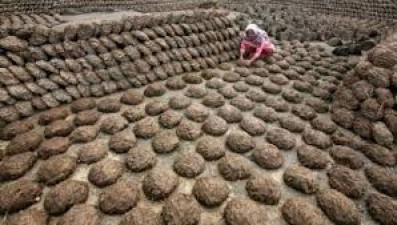 People use Dung cake on roof of pucca houses to avoid heat
