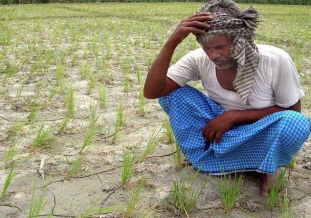 Good news for farmers, govt directs agriculture department