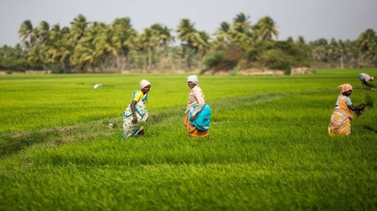 किसानों को मिली राहत, खातों में पहुंचे 11 हजार करोड़ रुपये